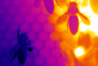 When Art and Science Mesh: